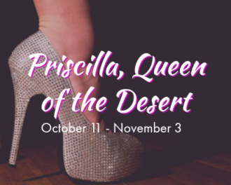 Priscilla, Queen of the Desert by Wonder Theatre