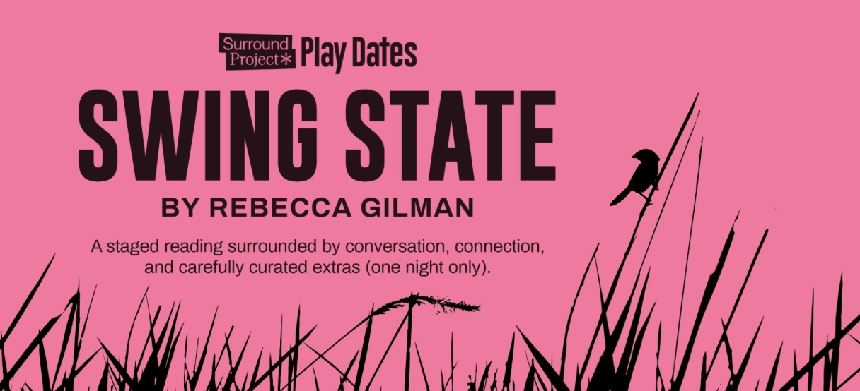 Swing State by The Surround Project