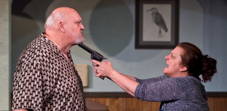 Review: Death and the Maiden by Sam Bass Community Theatre